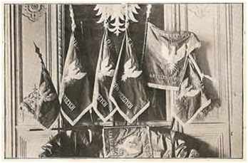 Polish flags